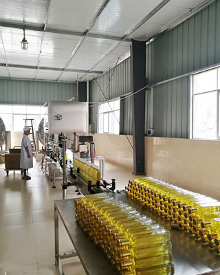 山茶油生产