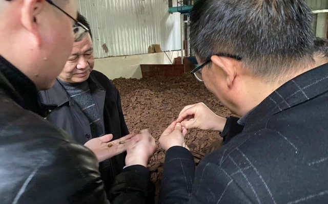 2022年3月25日人大和林业局武局长一行来我司视察